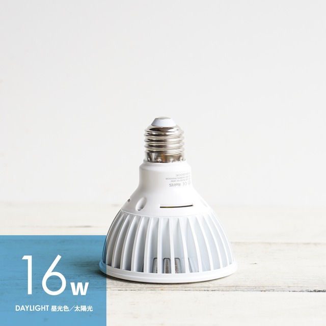 LEDライト 小型AS型 16W 昼白色 ホワイト