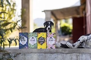 シックスドッグス・ハニーライムジン / Six Dogs Honey Lime Gin