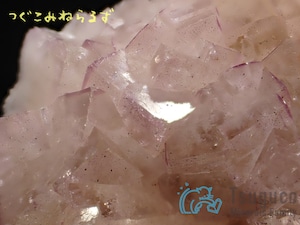 フローライト 蛍石 Fluorite イギリス TM-0051