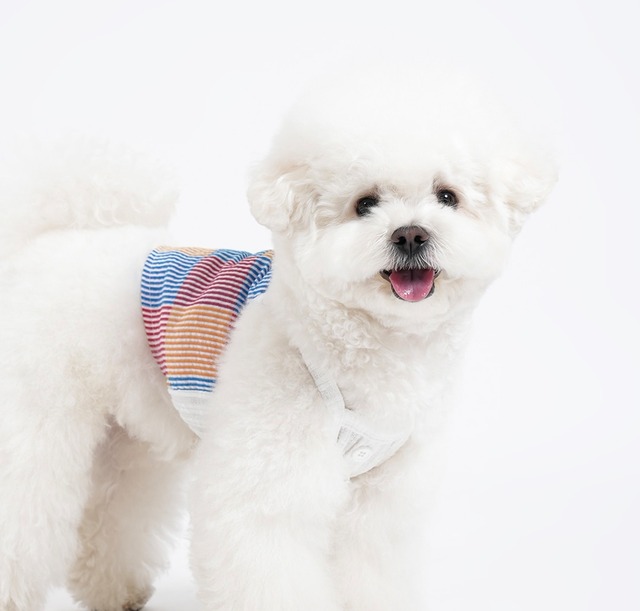DOGWEAR・Tops　×　RED