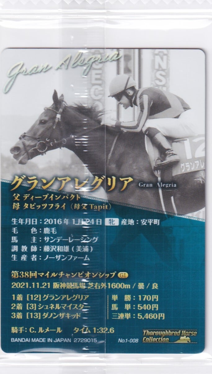 グランアレグリア：第38回 マイルチャンピオンシップ「サラブレッド