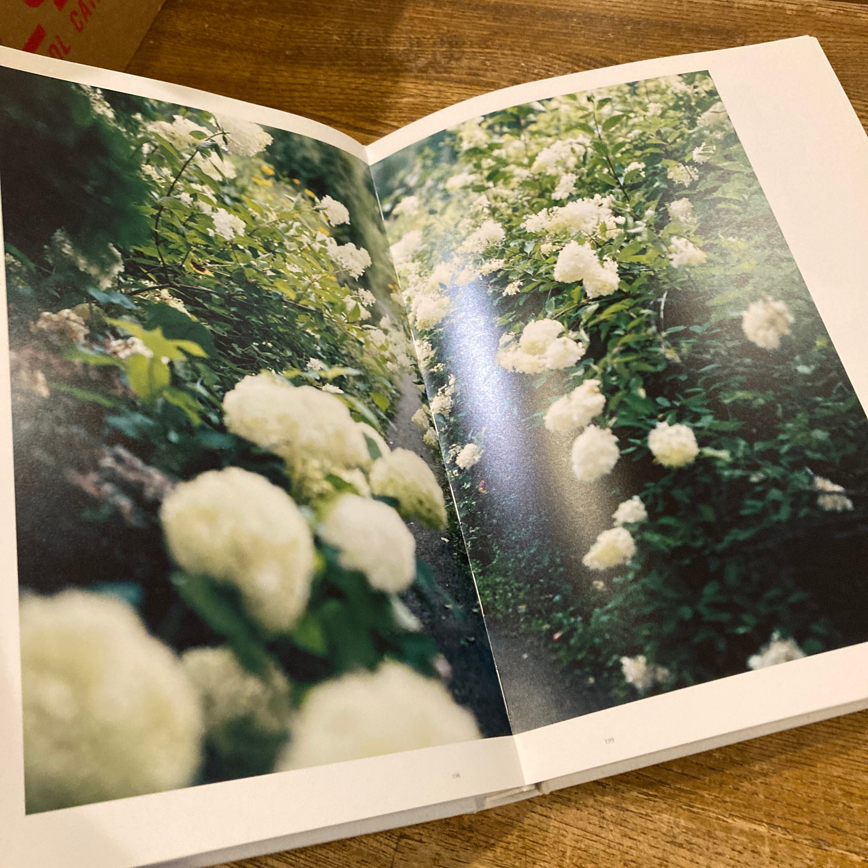 鈴木理策写真集 意識の流れ Stream of consciousness: Risaku Suzuki