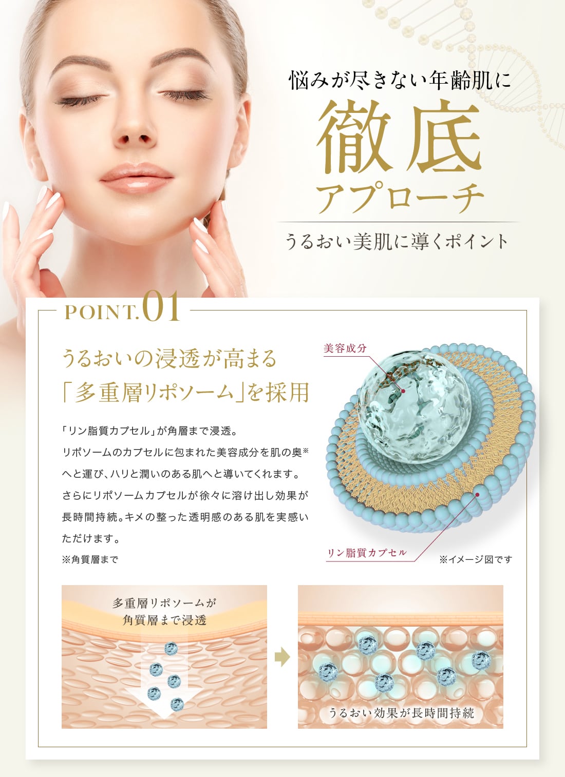 ヒト幹細胞 高機能 美容液 機能性 エイジングケア 【PADMAA】プレミアムセラム  人幹細胞 日本製 化粧品 EGF ETF ビタミンｃ セラミド  大人の肌悩みを全方位サポート【定期便】