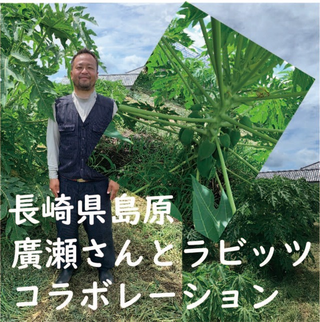 【長崎島原産】無農薬栽培パパイヤの実 25g（税・送料込）