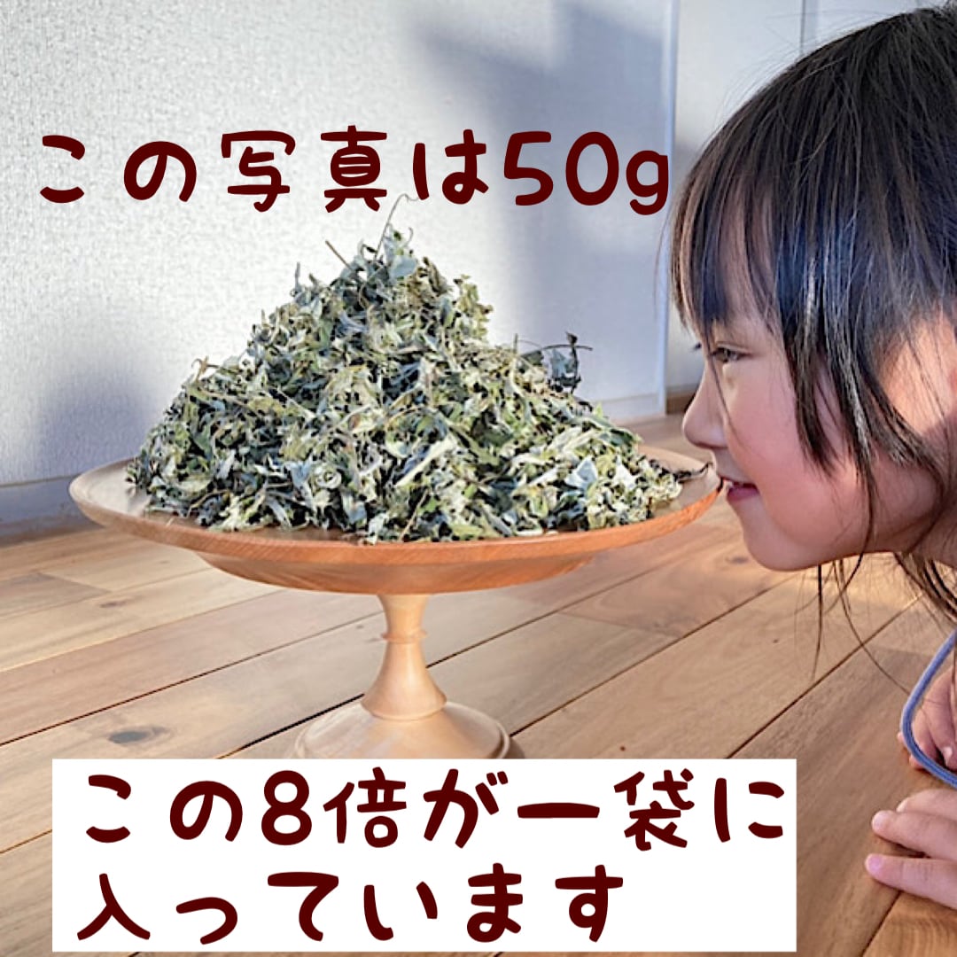 専用:よもぎ蒸しのよもぎ、400グラム、よもぎ蔵で自然乾燥のよもぎ 653e9e5085355540b6db763118f32a