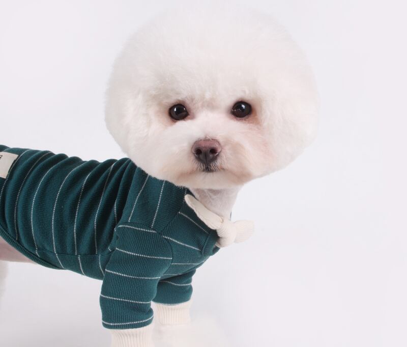 スカーフストライプTシャツ S~XL / 犬の服 犬服 ペット洋服 ドッグウェア ペット用品 小型犬 中型犬