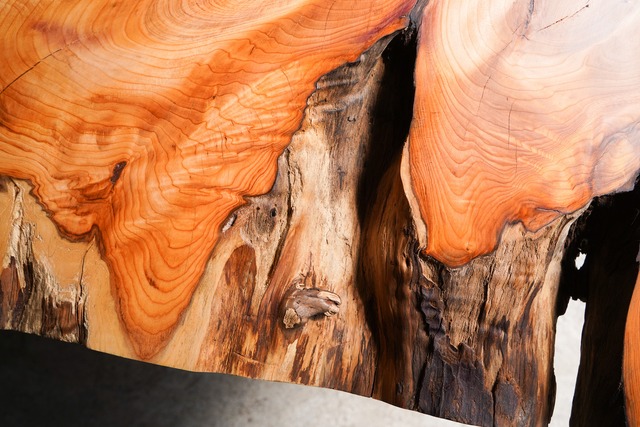 一位の一枚板 ローテーブル