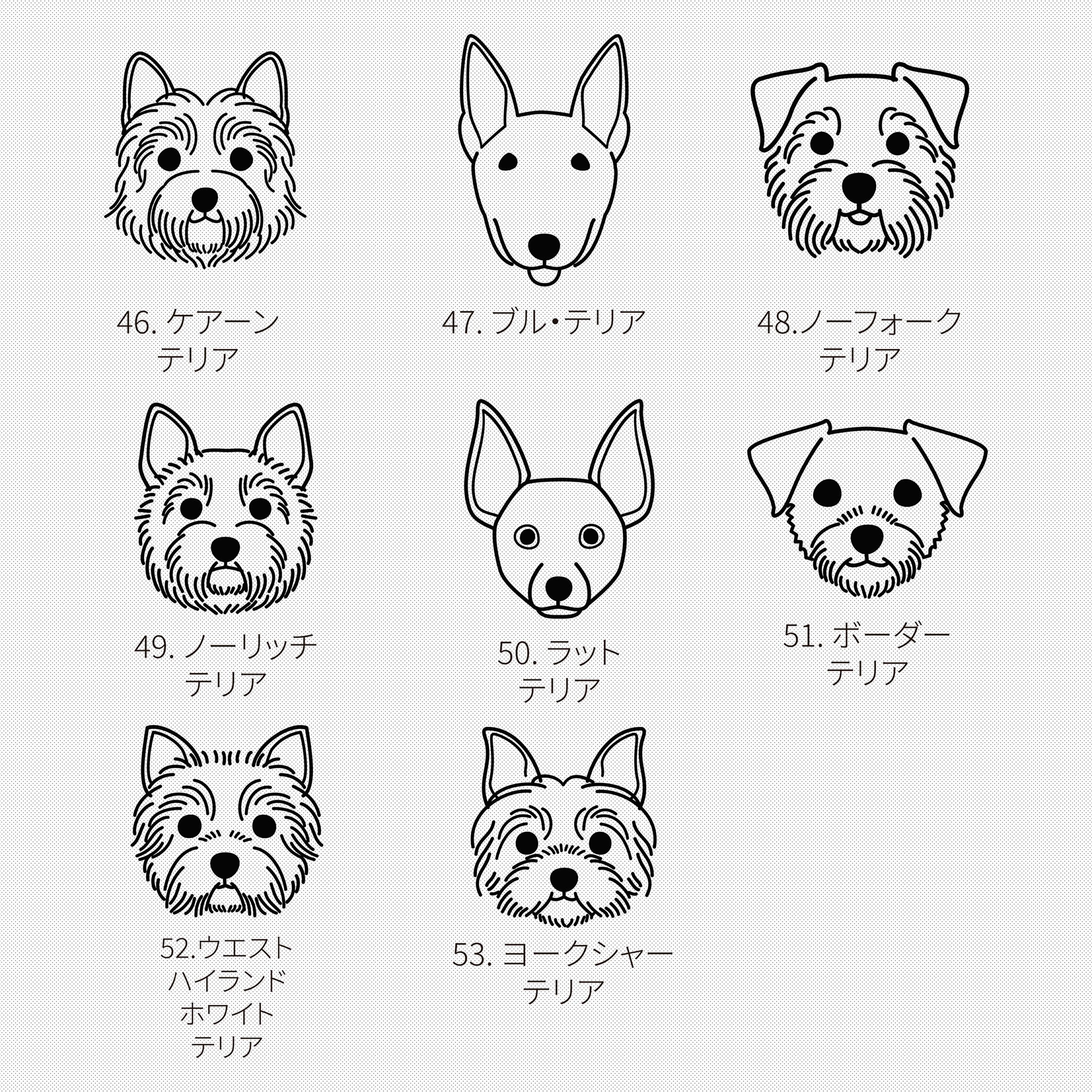 Or 5 オリジナル 愛犬用ネームプレート ドックタグ 迷子札 ステンレス製 2 5 ａｄｎｅｗ エディニュー