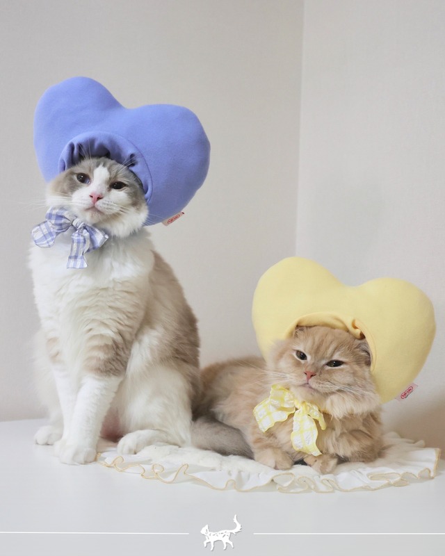 S即納･予約【tak!tak!tak!tak!】Heart hat Sky-blue