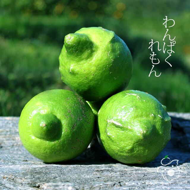 八つ葉わんぱくれもん 5kg