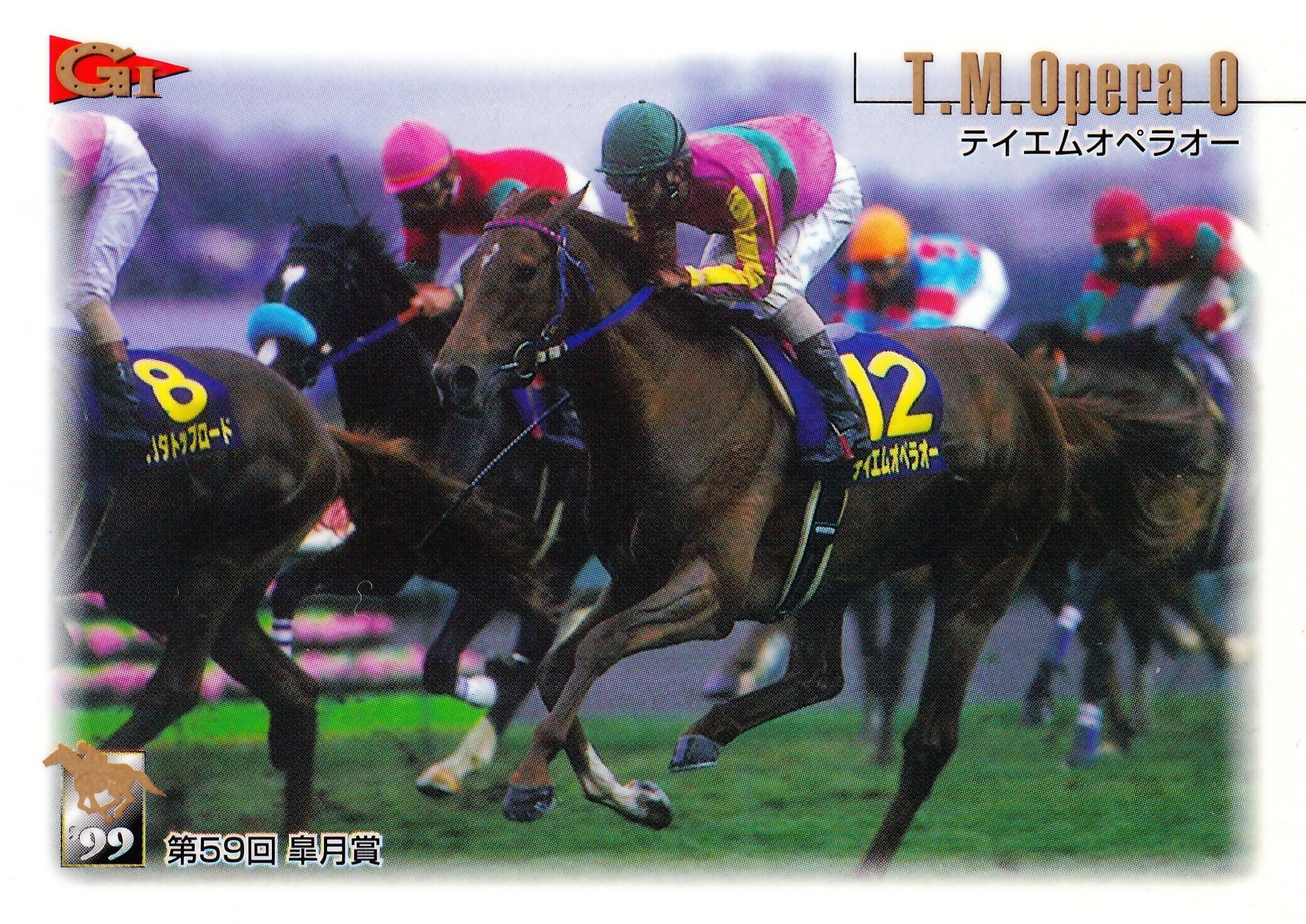 希少現地単勝皐月賞1999年 テイエムオペラオー 100円 654569283b4a2938ba94cd659cac60