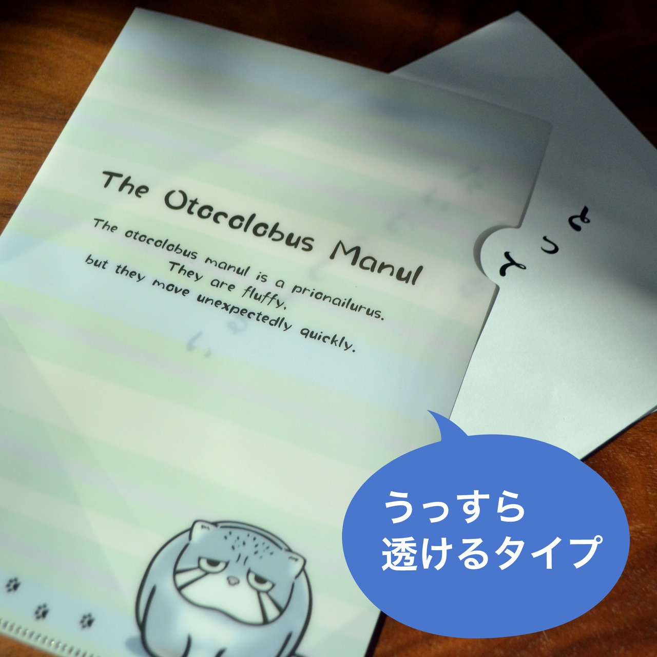 クリアファイルセット★マヌルネコ