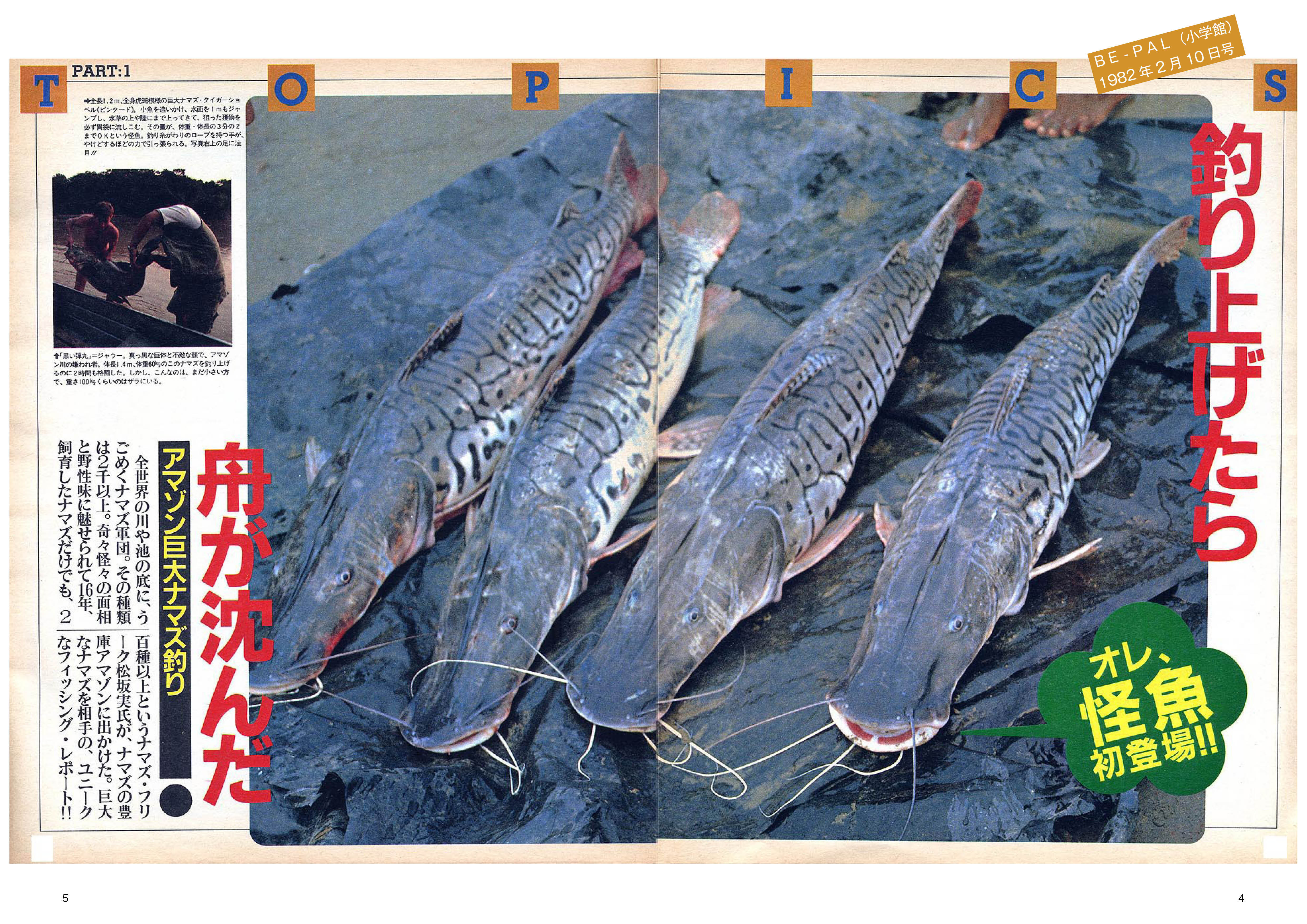 アマゾンマン ヒストリー1 | Pay ID