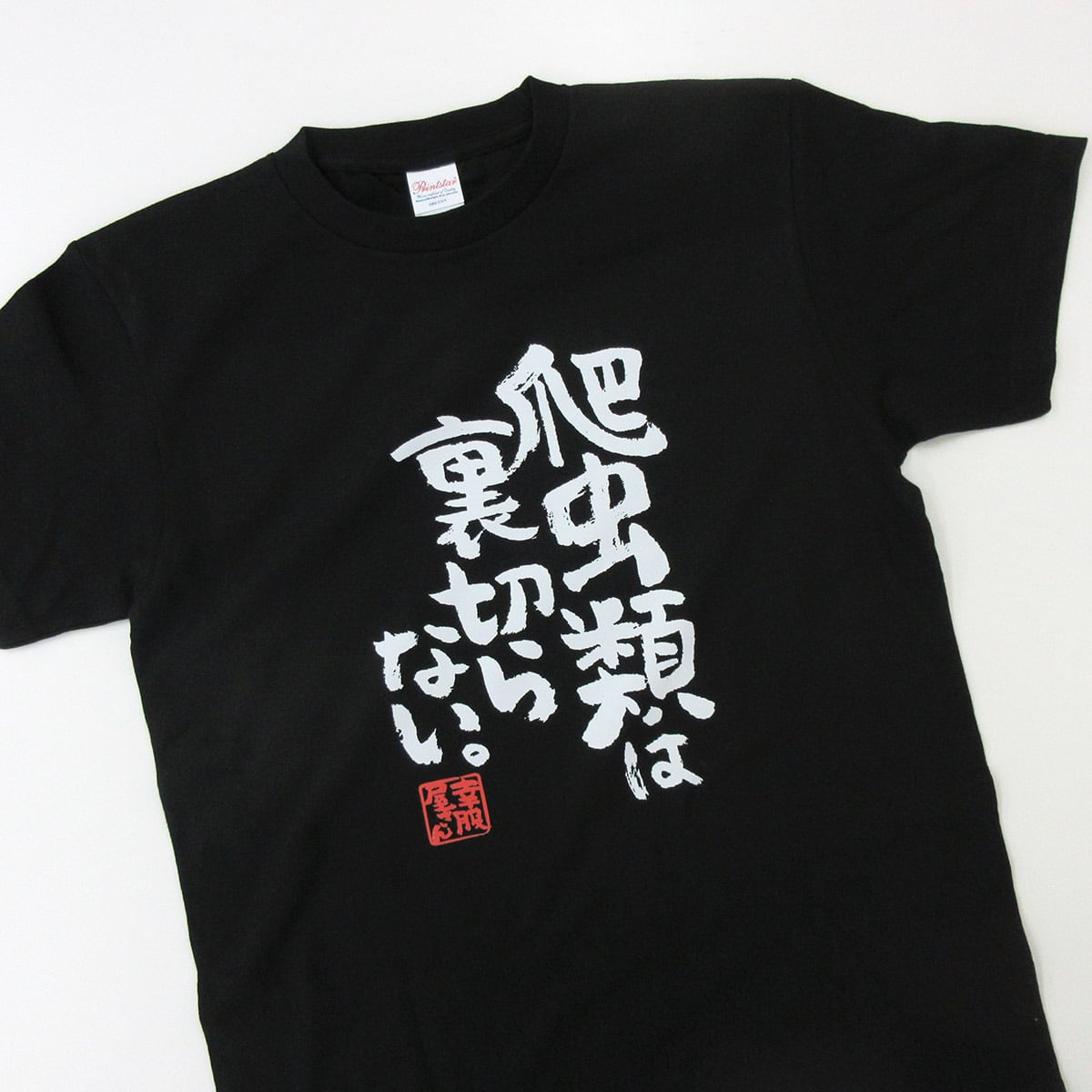 爬虫類は裏切らない。 おもしろ 漢字Tシャツ ka400-78