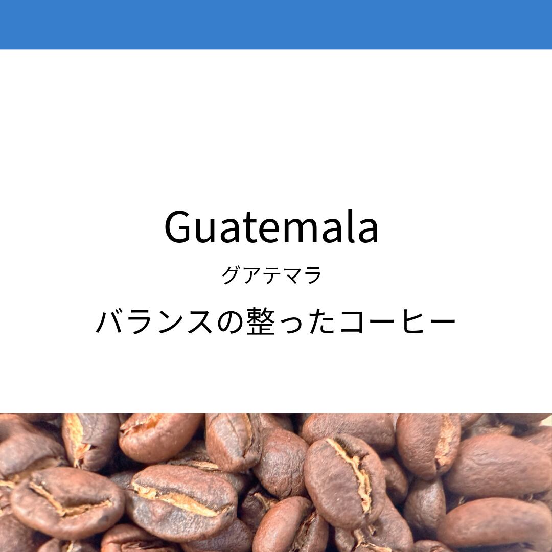 グアテマラ(コーヒー豆・200g） | andy's COFFEE STAND