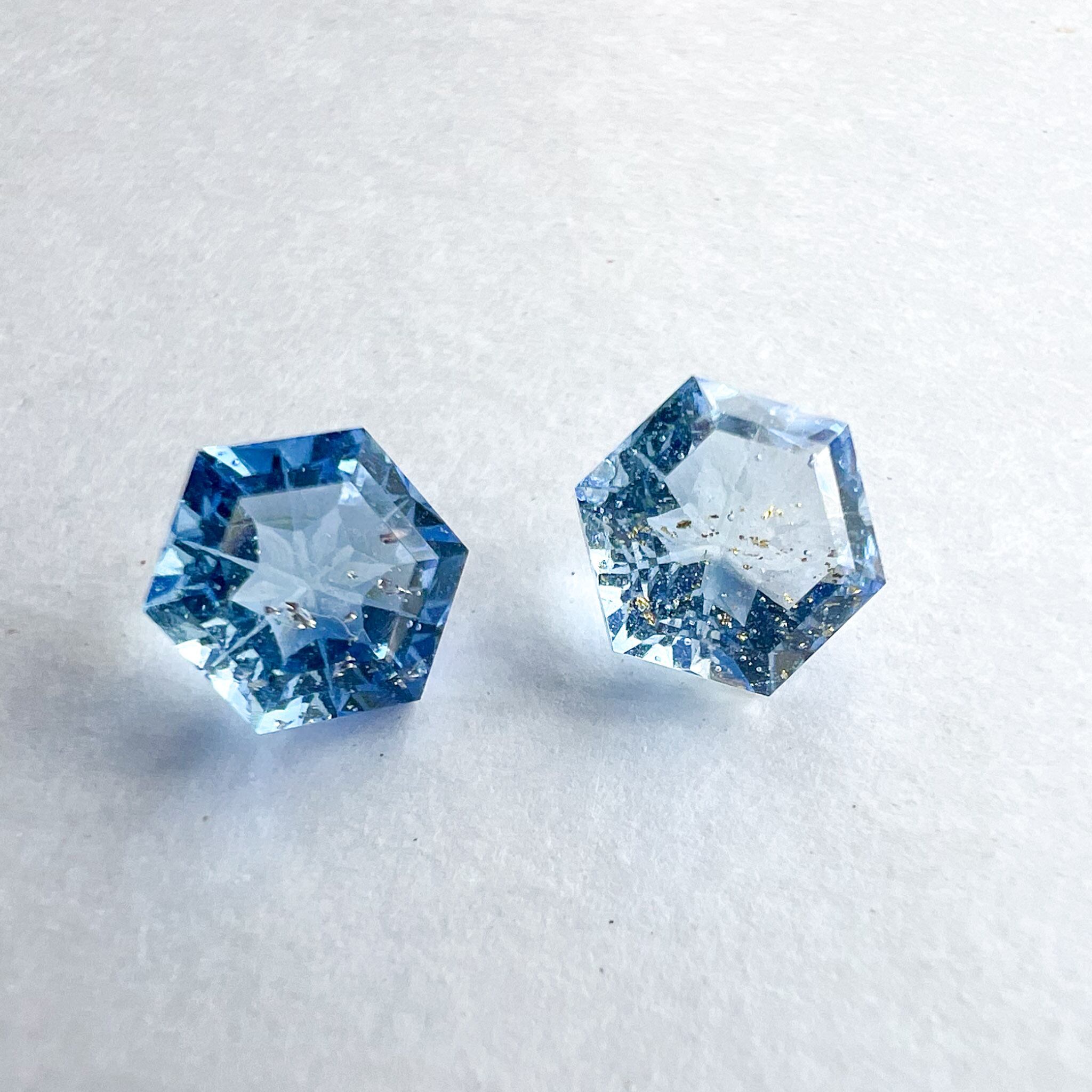 ゆきんこさま専用愛犬ちゃんミニチュアオーダー確認用ページ