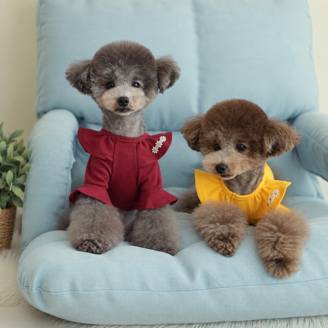 purina t-shirt S ~ XL 4color  /  犬服 秋冬 Tシャツ ブラウス 上品 可愛い ワンコ服 ストレッチ 犬の服 長袖 無地 ドッグウェア フリル シンプル ニット お揃い ハイネック 韓国ワンコ服 小型犬 中型犬