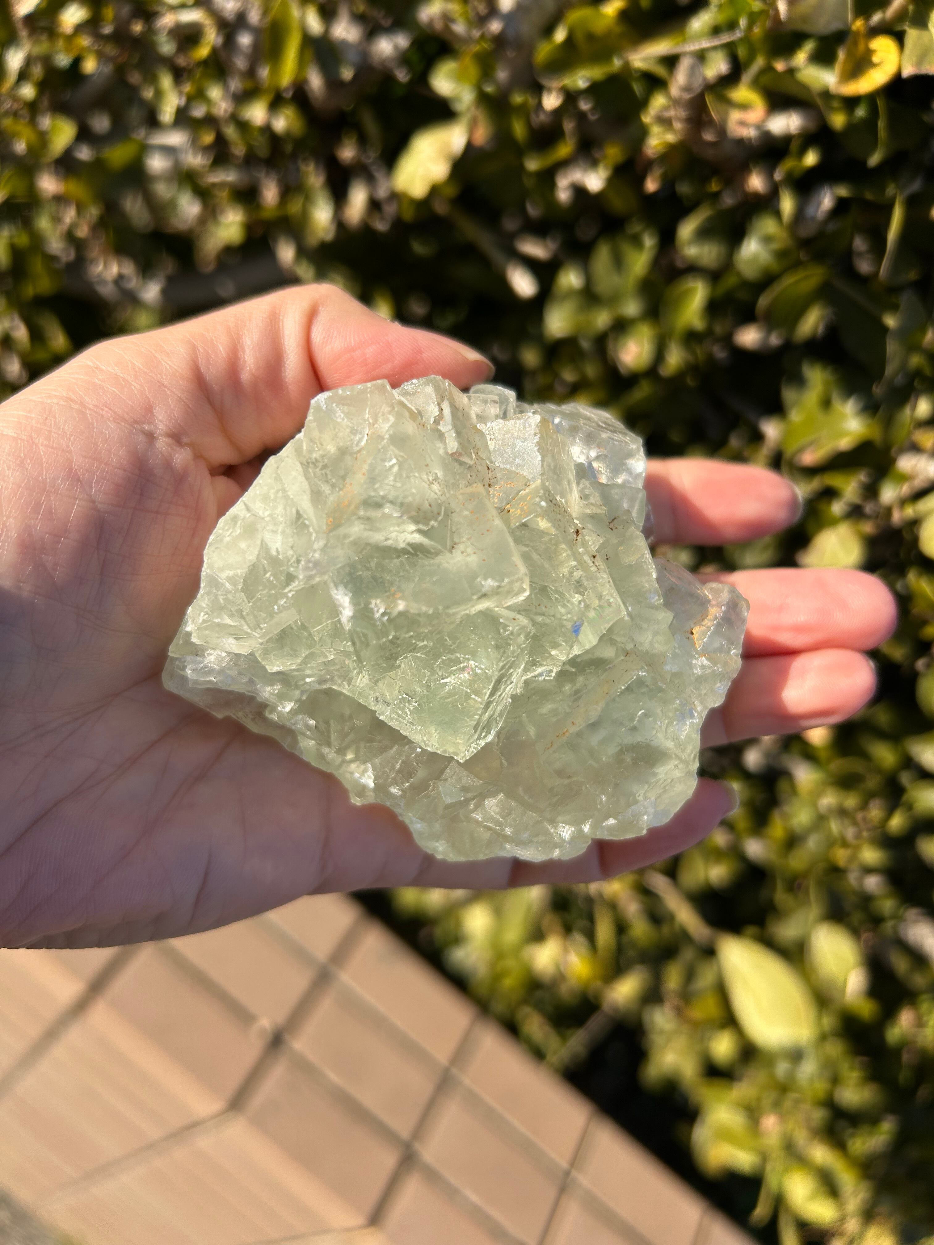 美結晶☆ゼリーのような見た目☆フローライト原石クラスター