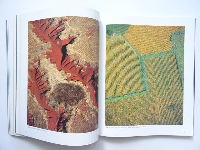 洋書◆アメリカをテーマにした画集 作品写真集 本 工芸品 芸術 洋書◇アメリカをテーマにした画集 作品写真集 本 工芸品 芸術