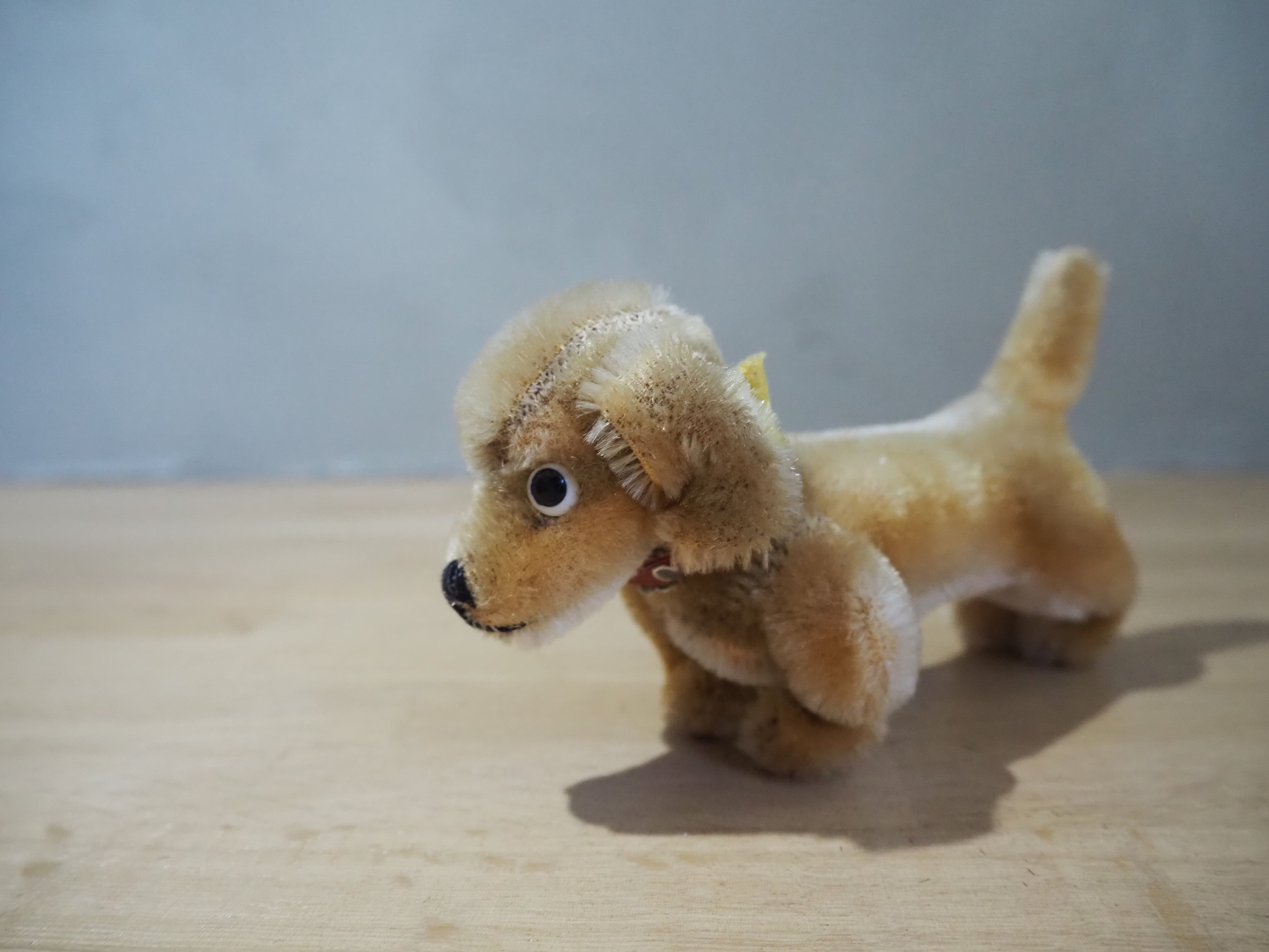 Steiff ぬいぐるみ オールド シュタイフ ダックスフンド Steiff Hexie 9cm | ヒガシマチ