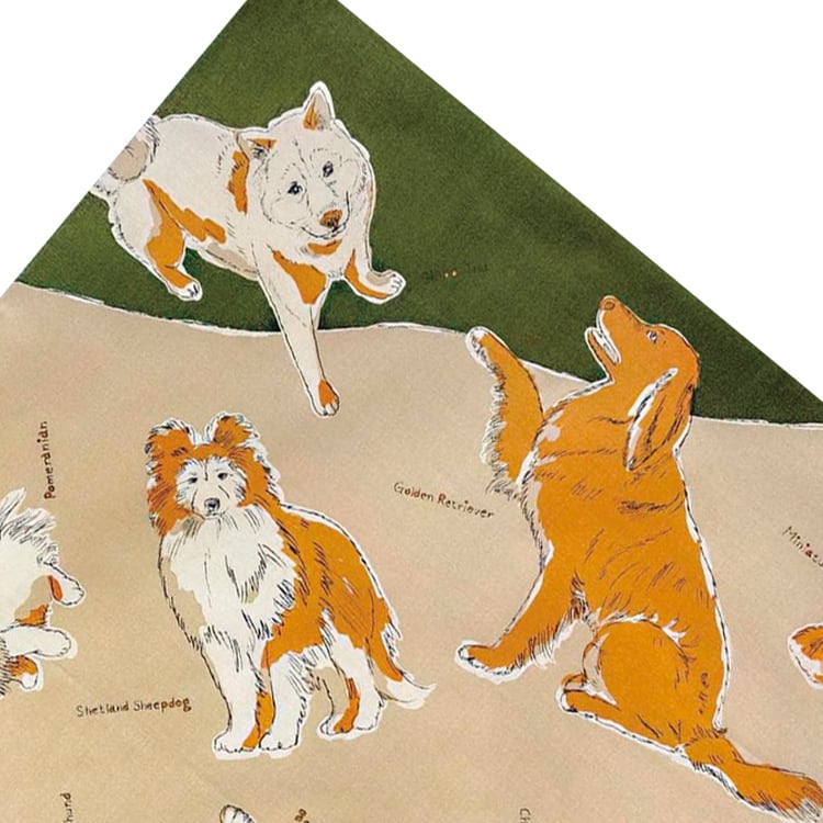 今治タオル フェイスタオル 浴用 まとめて 12枚 日本製 猫柄 犬柄 パン柄
