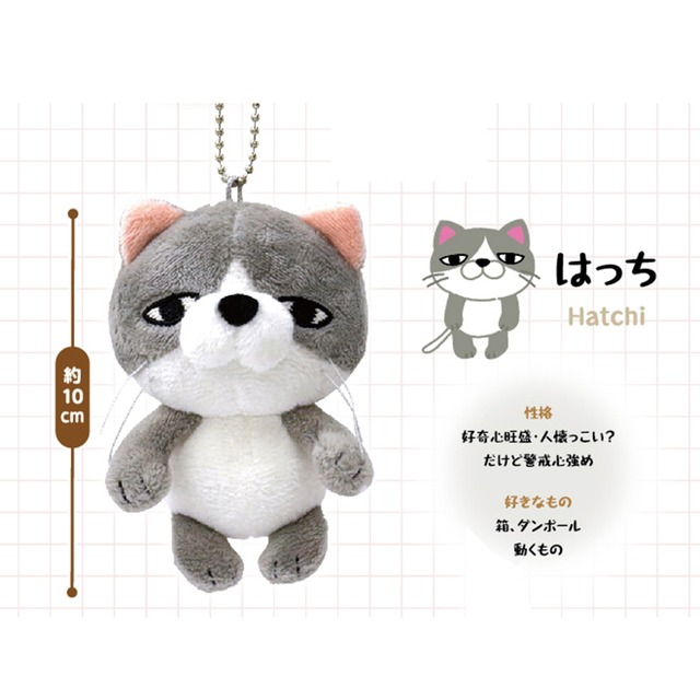 じわ猫 はっち(9812512)