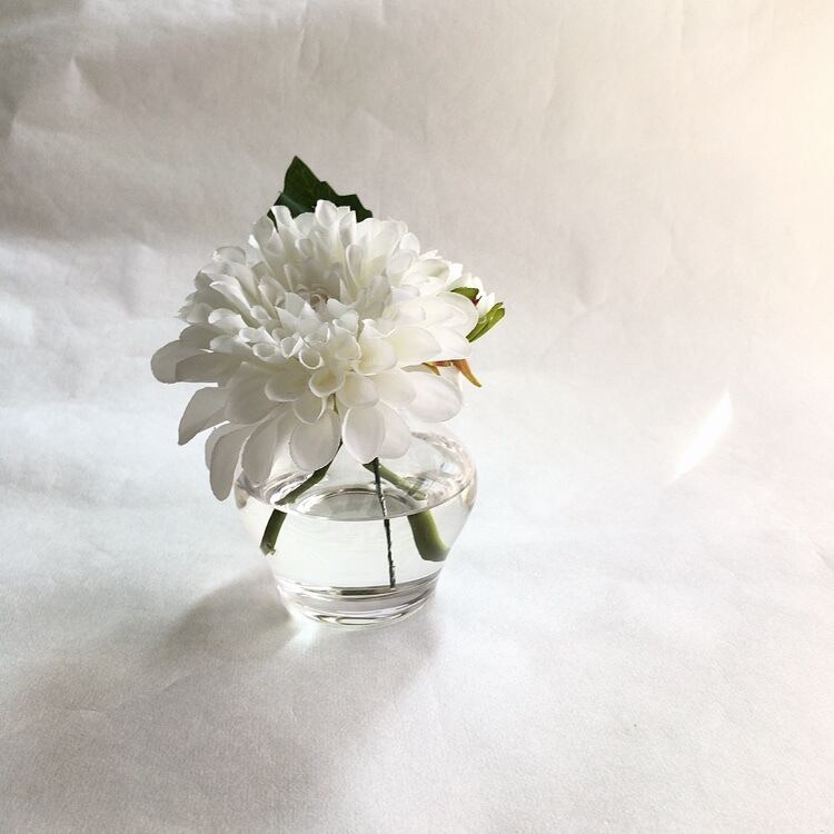 魔法のお水を使ったお供え花 粋 スイ シリーズ ダリア フルール Cube お供え花 お供え菓子 お供えギフト専門店