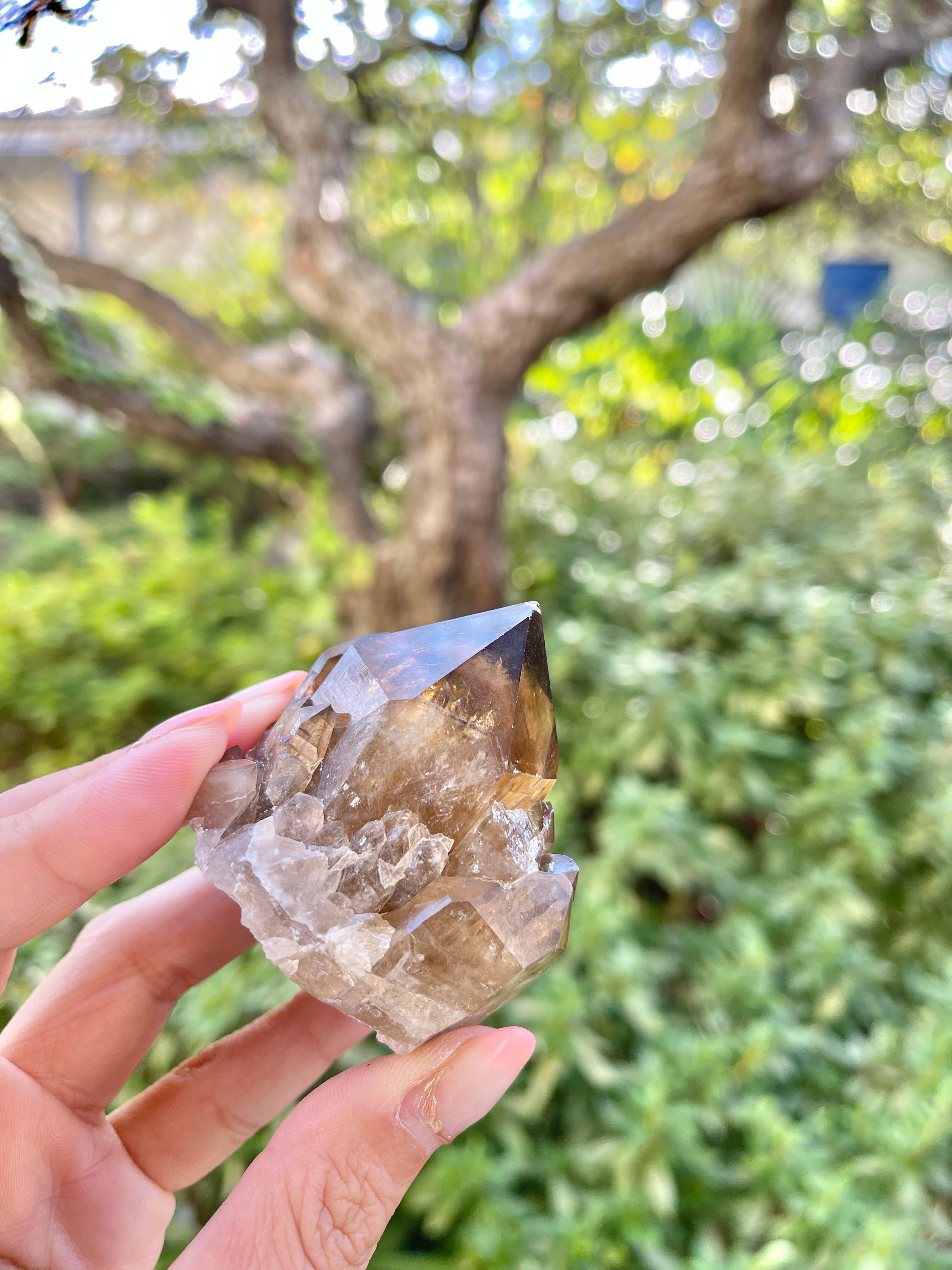 コンゴ産　高品質クンダリーニクォーツ(ファントム)