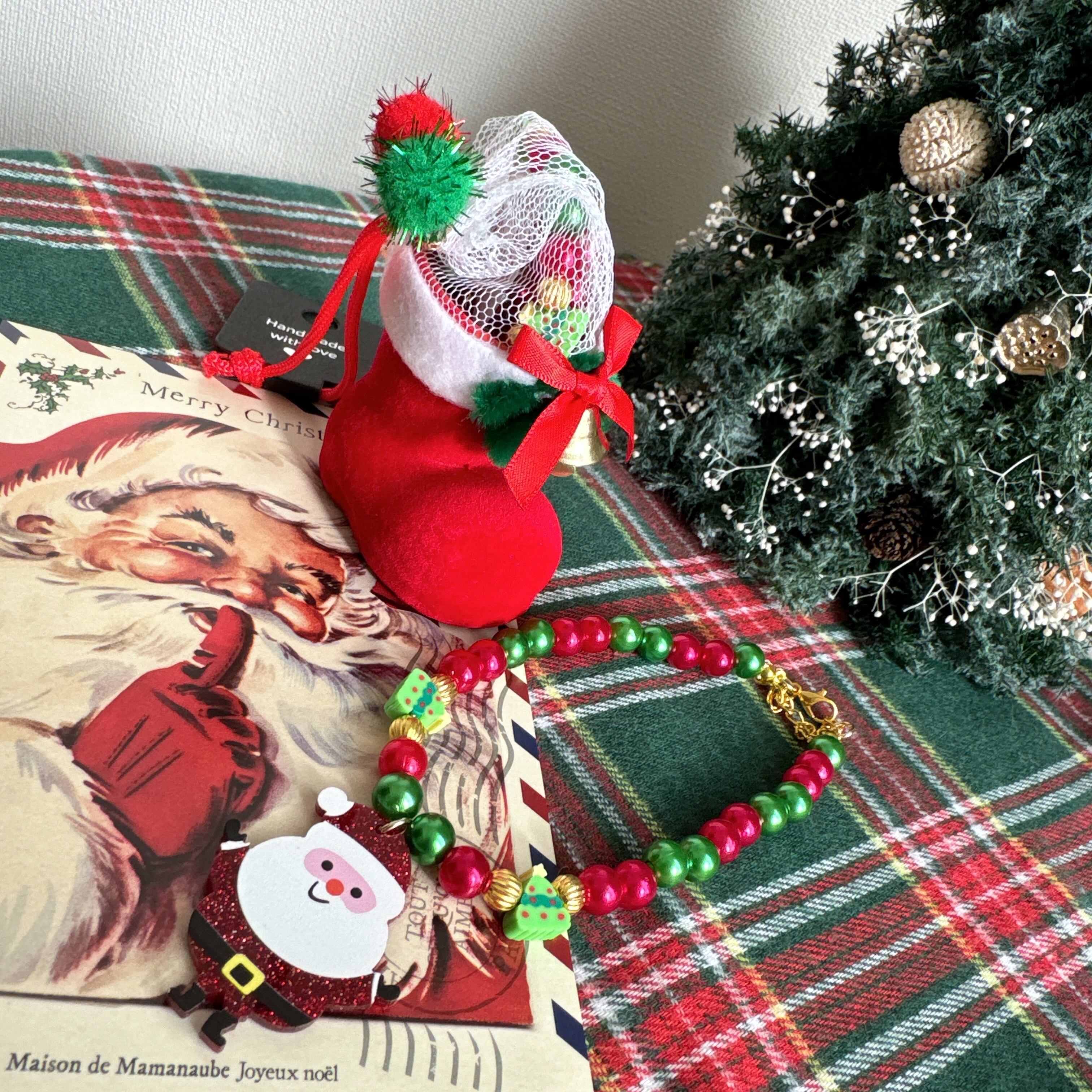 クリスマス*うちのこサンタブーツセット