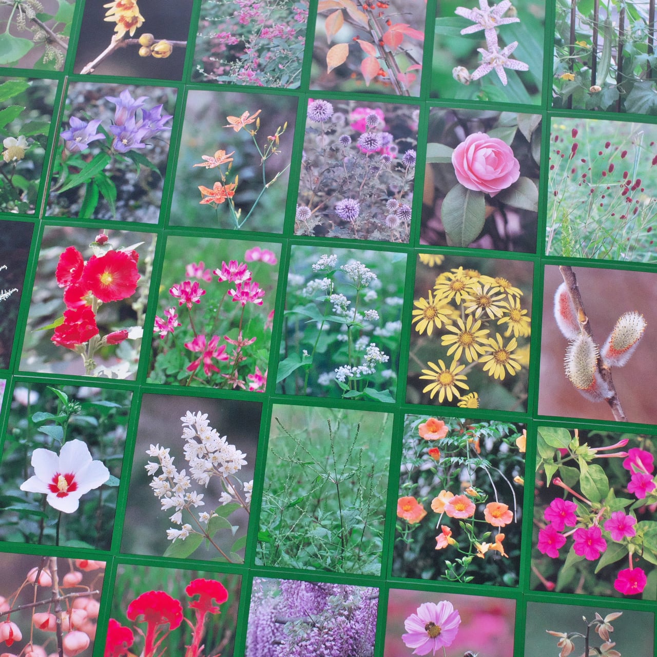 オライリーかるた　激レア かるたおおつ光ルくんメガネ拭き-タオルはまかせたろ.com [卸専用タオル]