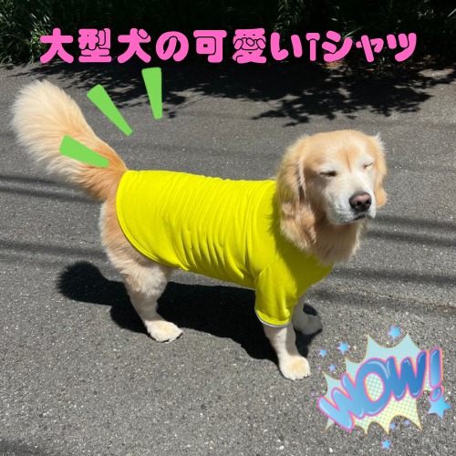 犬 服 黄色 Tシャツ おしゃれ かわいい 可愛い 犬服 中型犬 大型犬 ゴールデンレトリバー 抜け毛対策　春 夏 秋