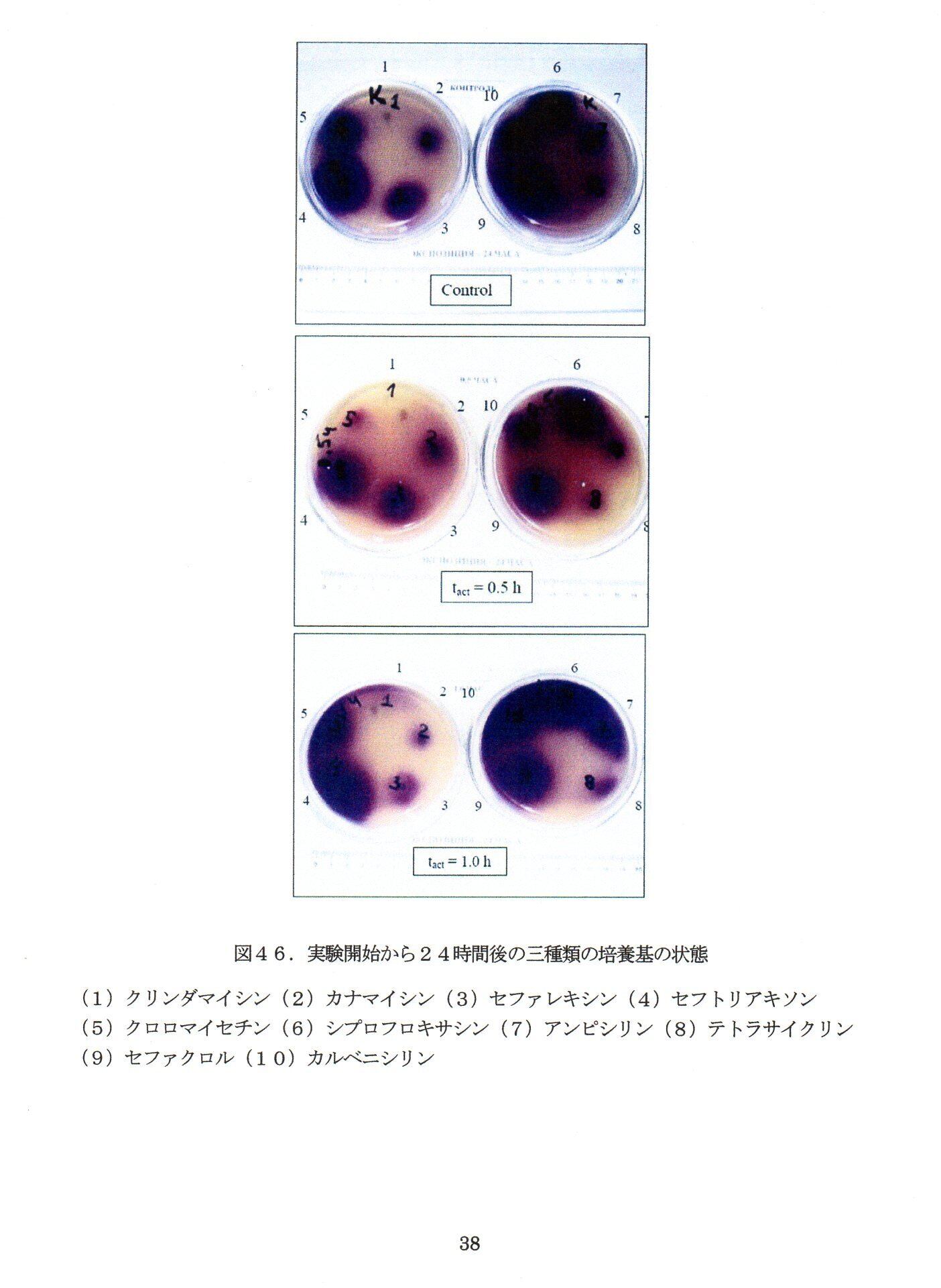 MRETウォーター・サイエンス』〈生物学編〉 | Pay ID