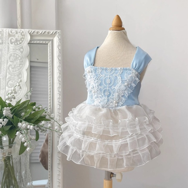 ロマンティックブルー　フリルレースドレス　犬服　00044