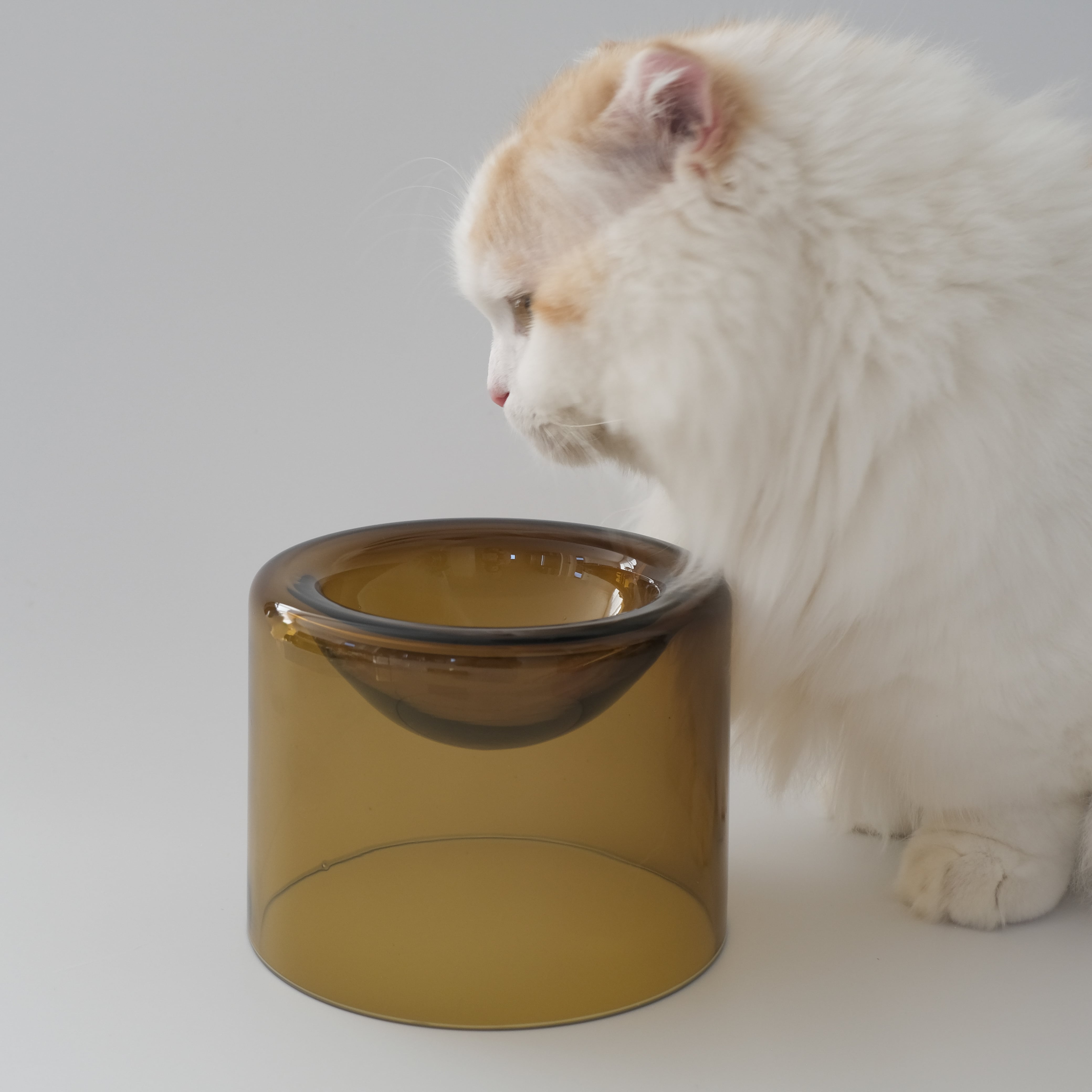 Food Bowl | tofmofu