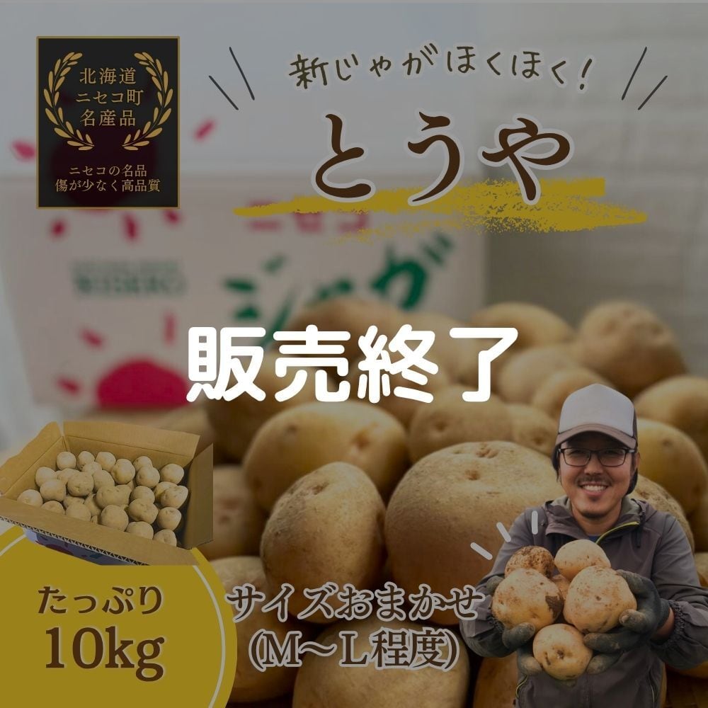 じゃがいも「とうや」 1箱10kg＜10月中旬から発送予定＞ | 北海道