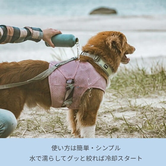 Hurtta】【フルッタ】体を冷やしてくれるドッグクーリングベスト
