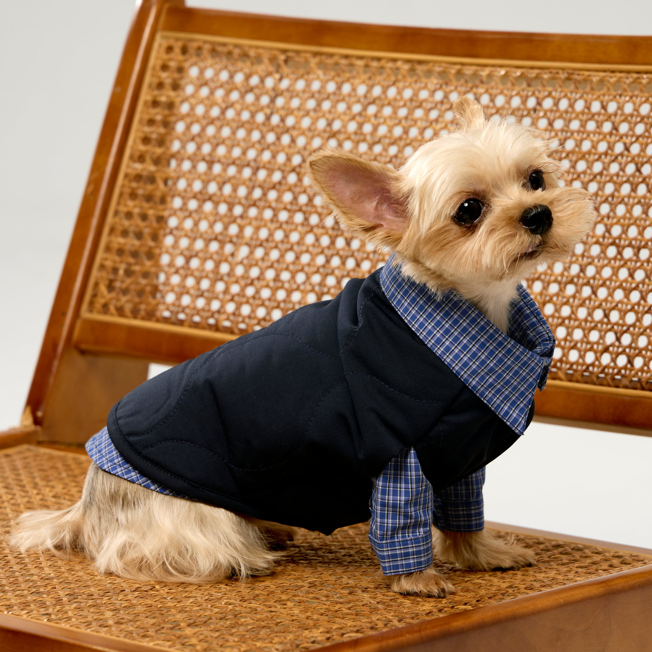 PLAID SHIRT / OVER GLAM