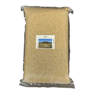 ささしぐれ　玄米　5kg　無農薬・無施肥