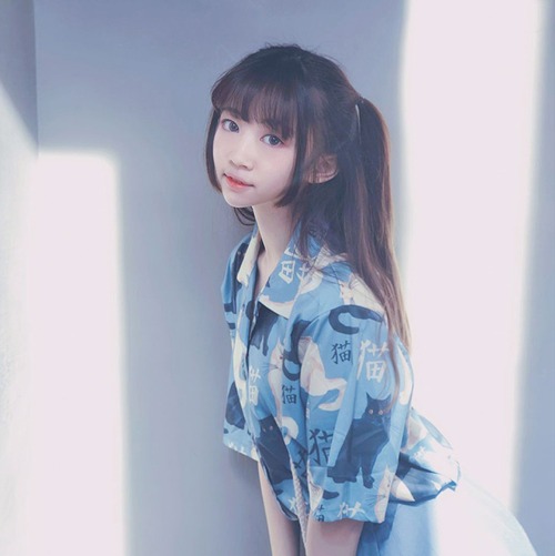 ✞ 猫シャツブラウス プリント 大人ガーリー スウィート キュート カジュアル 夏物 ✞ゴスロリ SM ミリ 甘ロリ クラロリ 和ロリ エレガント 黒ロリ 姫ロリ 華ロリ BB-BB5383044