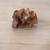 FOLDS