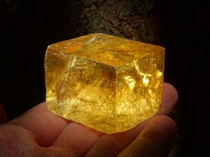 ゴールデンオプティカルカルサイト ~燦然~