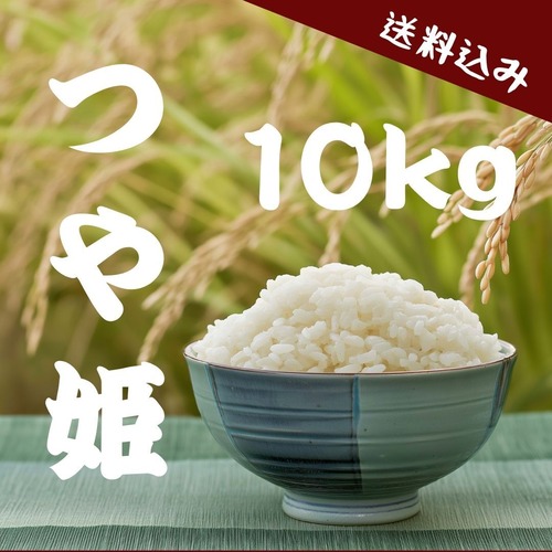 【農家直送】山形県産 つや姫 10kg｜23歳若手農家が育てたお米｜送料・税込み