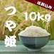 【農家直送】山形県産 つや姫 10kg｜23歳若手農家が育てたお米｜送料・税込み