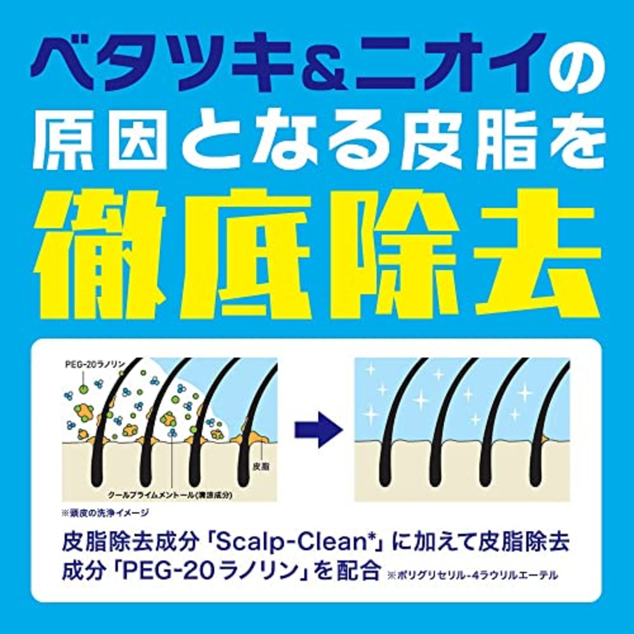 【大容量】 SUNSTAR TONIC(サンスタートニック) シャンプー リンスイン 爽快頭皮ケア 詰替え用 900mL ノンシリコン処方 [シトラスハーブの香り]