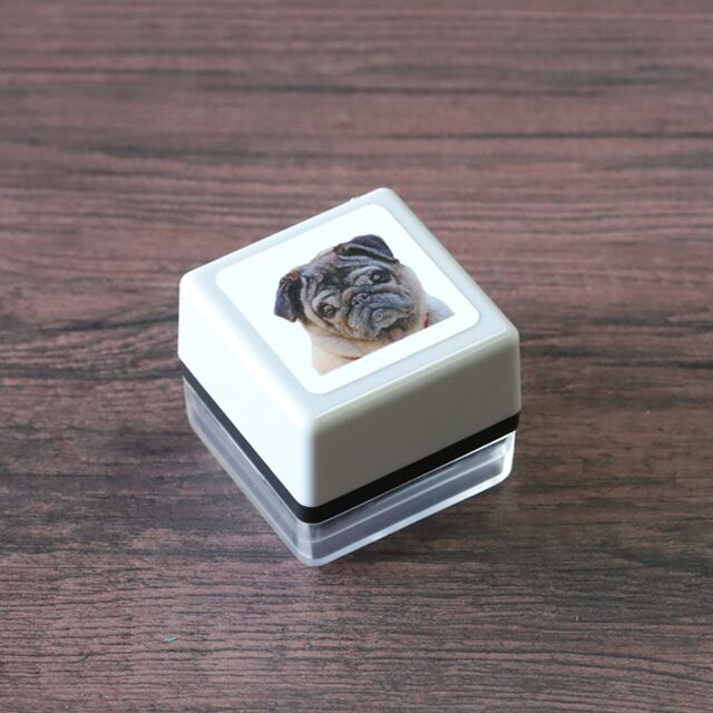 カラースタンプCARASTA ミニチュアダックスフント CR-007