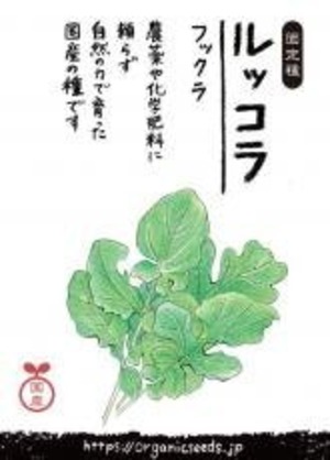 国産ルッコラ(フックラ) 400粒　ＮＬＳ