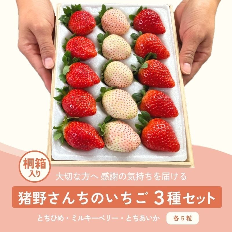 ミルキーベリー＆とちひめ（DXサイズ 6粒入り×各1P） | 猪野さんちの