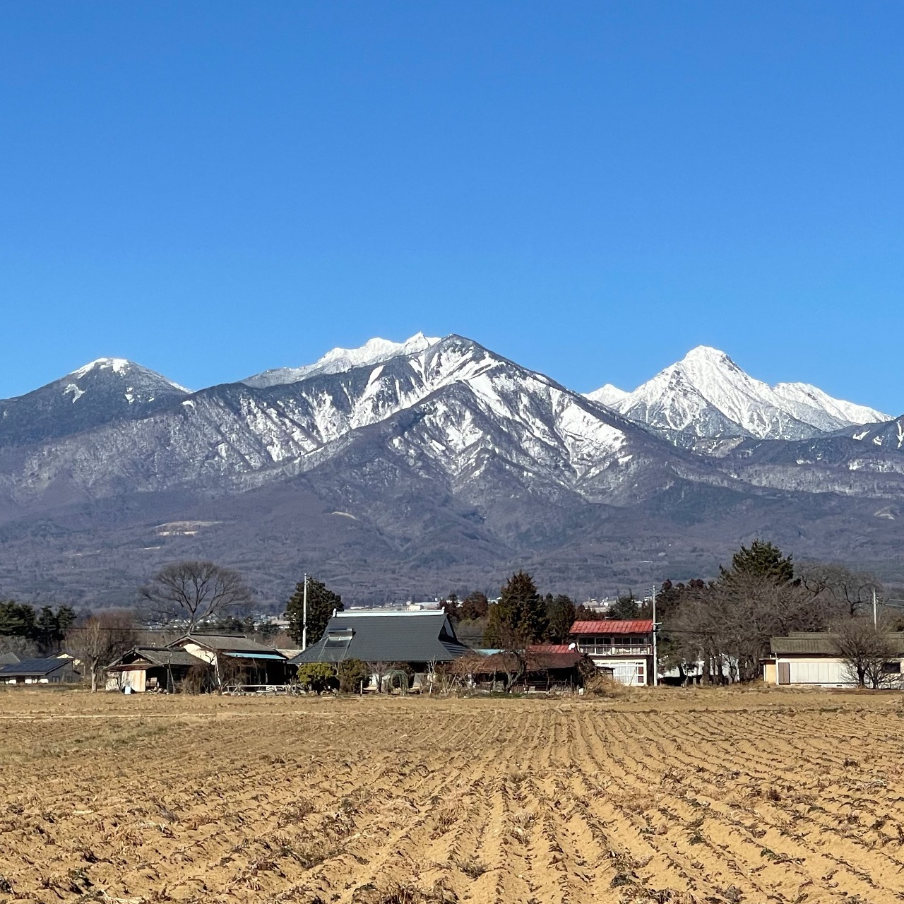 【令和7年産・新米】特別優秀賞受賞！【農林48号】白米・2kg　特別栽培米　こぴっと米