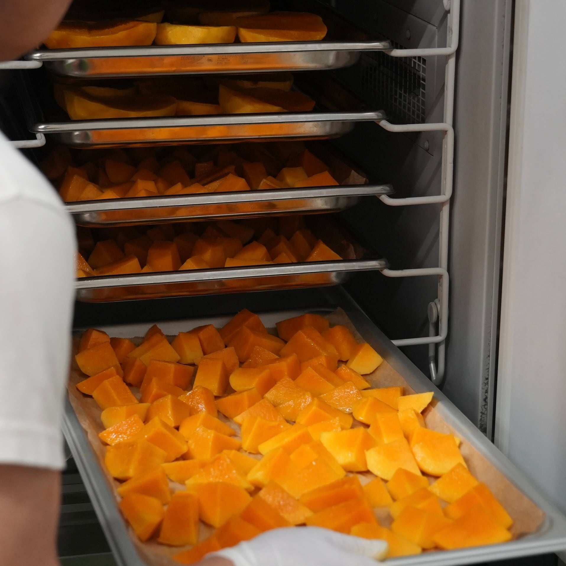 宮古島産フローズンカットマンゴー「200g×3パック」 | TORIKOFARM