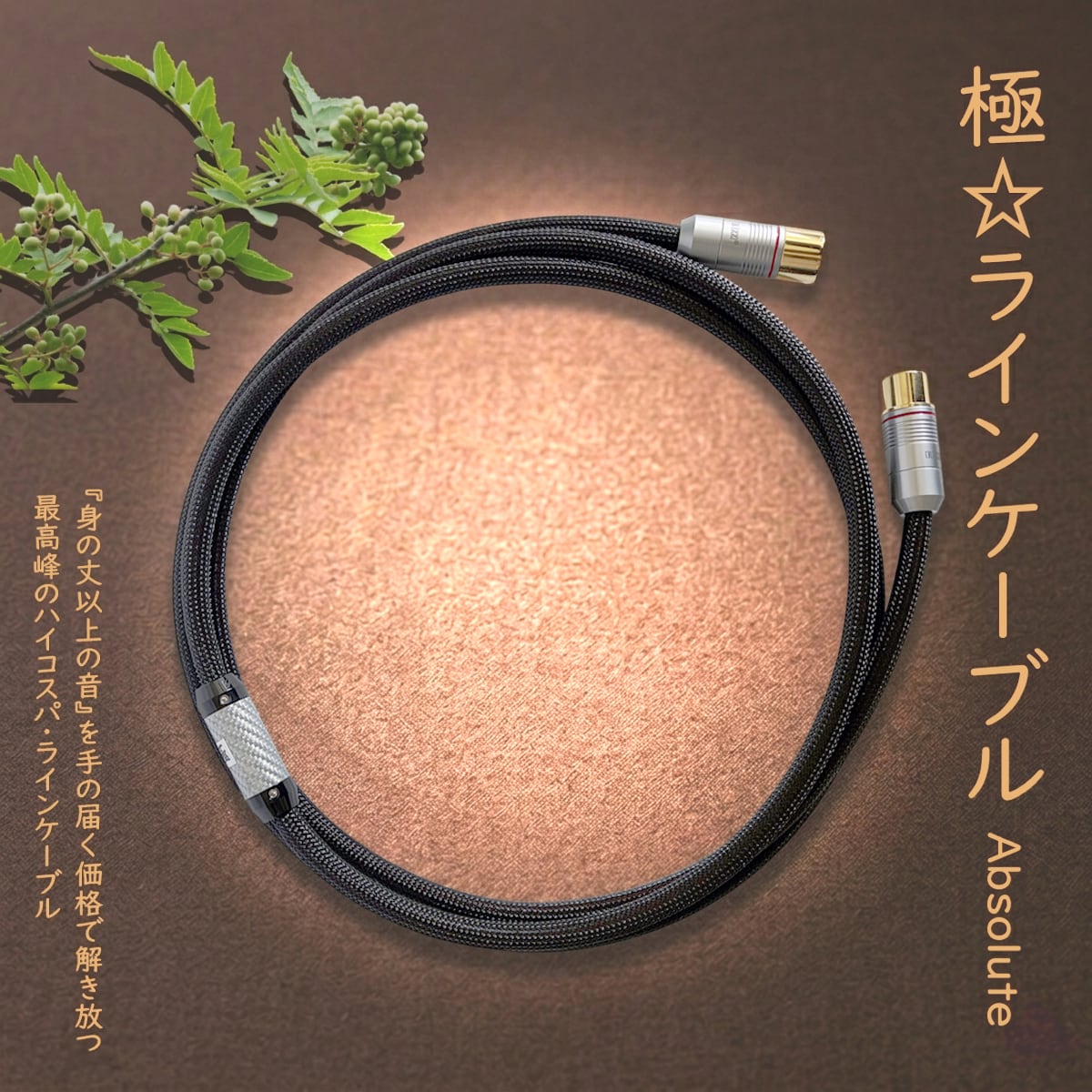 極-kiwami- ラインケーブル Absolute XLR | 極☆自宅試聴EC